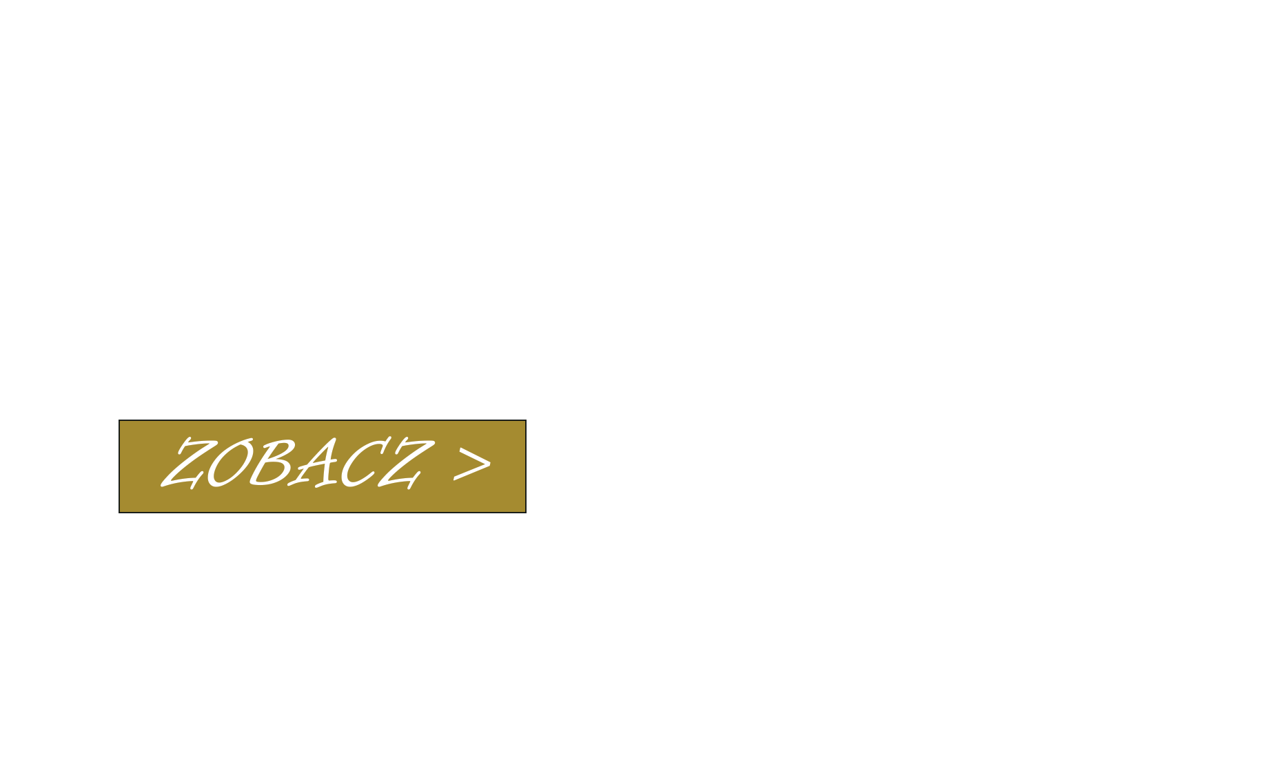 Zjazd Cenowy Napis.png